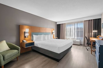 Room, 1 King Bed, Accessible, Non Smoking (Roll-in Shower)