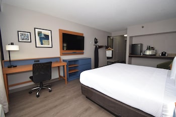 Room, 1 King Bed, Accessible, Non Smoking (Roll-in Shower)