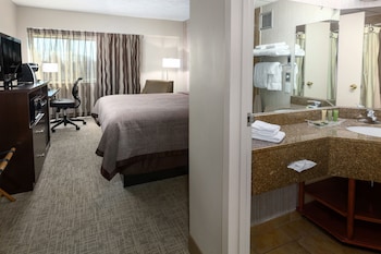 Standard Room, 1 King Bed, City View