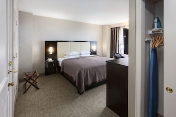 Standard Room, 1 King Bed, City View