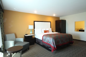 Business Room, 1 King Bed, Non Smoking