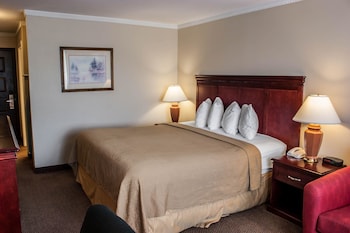Room, 1 King Bed, Smoking