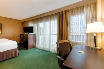 Room, 1 King Bed, Non Smoking