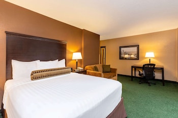 Room, 1 Queen Bed, Accessible, Non Smoking (Mobility Accessible)