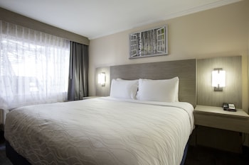 Standard Room, 1 King Bed