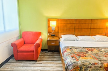 Room, 1 King Bed, Smoking