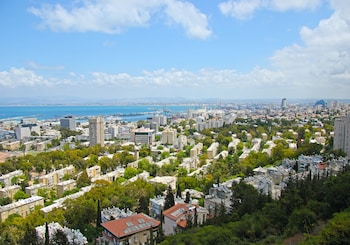 Executive Carmel View