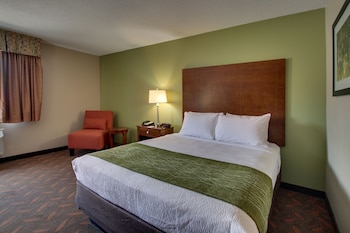 Room, 1 King Bed, Non Smoking