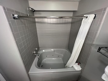 Basic Studio Suite