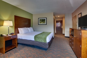 Room, 1 King Bed, Non Smoking