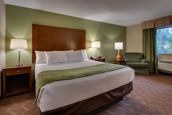Room, 1 King Bed, Non Smoking