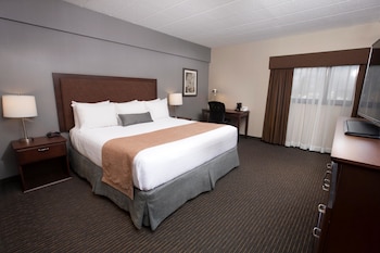 Standard Room, 1 King Bed, Non Smoking, Tower (Shower Only)