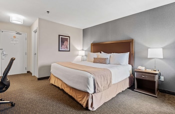 Standard Room, 1 King Bed, Fireplace, Tower