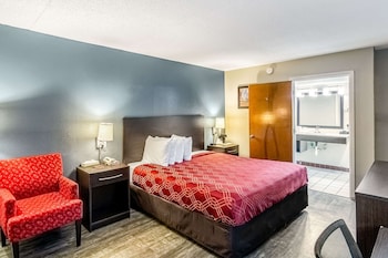 Room, 1 King Bed, Accessible, Non Smoking