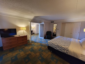 Suite, 1 King Bed, Non Smoking (1-Bedroom)