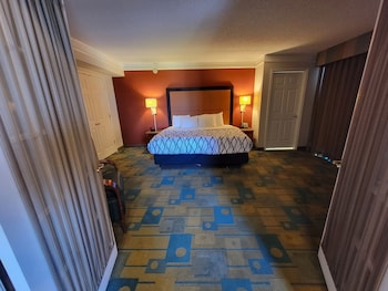 Suite, 1 King Bed, Non Smoking (1-Bedroom)