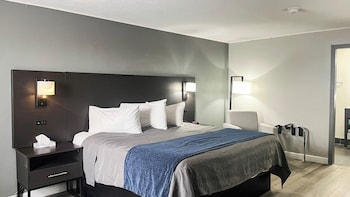 Deluxe Room, 1 King Bed, Non Smoking (Refrigerator & Microwave)