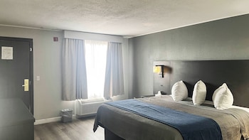 Deluxe Room, 1 King Bed, Mobility Accessible, Non Smoking (Fridge & Microwave, Roll-In Shower)