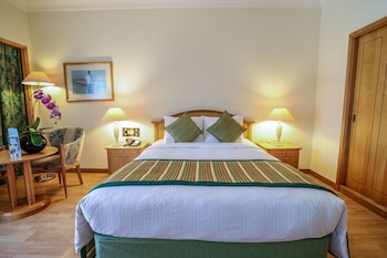 Studio, 1 King Bed