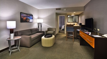 Suite, 1 King Bed, Accessible (Mobility & Hearing, Roll-in Shower)