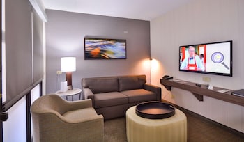 Basic Suite, 1 King Bed, Accessible, Bathtub (Mobility & Hearing)
