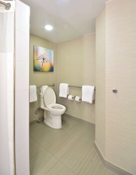 Basic Suite, 1 King Bed, Accessible, Bathtub (Mobility & Hearing)