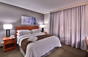 Suite, 1 King Bed, Accessible (Mobility & Hearing, Roll-in Shower)