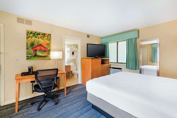 Standard Room, 1 King Bed, Non Smoking, Refrigerator & Microwave (with Sofabed)