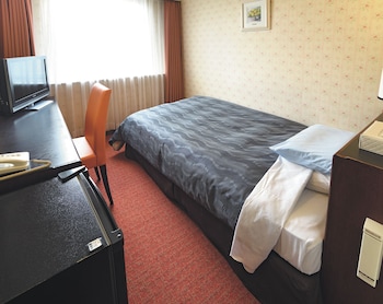Standard Single Room, Smoking