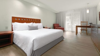 Suite Embajadores