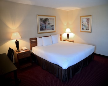 Standard Room, 1 King Bed, Non Smoking
