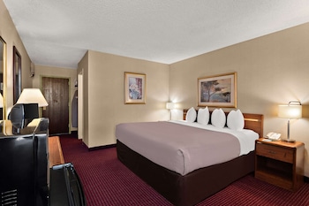 Room, 1 King Bed, Accessible, Non Smoking