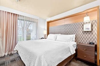 Suite, 1 King Bed