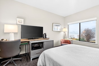 Suite, 1 King Bed