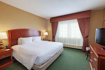 Premium Suite, 1 King Bed (Wellness, In-room air purification)
