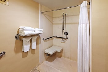 Suite, Accessible, Non Smoking