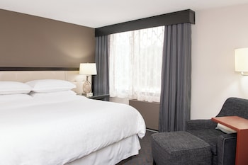 Room, 1 King Bed (Mobility/Hearing Accessible, Tub)