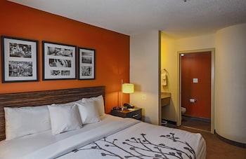 Standard Room, 1 King Bed, Non Smoking