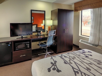 Room, 1 Queen Bed, Accessible, Non Smoking