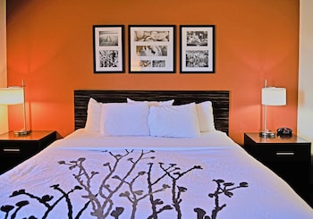 Room, 1 Queen Bed, Accessible, Non Smoking