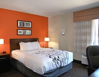 Suite, 1 Queen Bed with Sofa bed, Accessible, Non Smoking