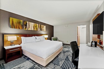Room, 1 King Bed