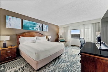 Studio Suite, 1 King Bed, Kitchenette