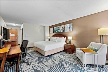Room, 1 King Bed