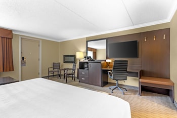 Suite, 1 King Bed, Non Smoking, Refrigerator & Microwave (Larger Room;with Sofabed)