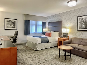 Standard Room, 1 Queen Bed, Non Smoking, Kitchenette (with Sofabed)