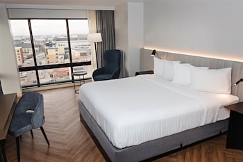 Room, 1 King Bed, Non Smoking