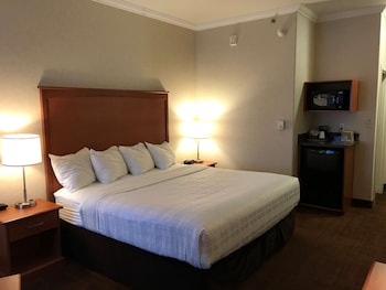 Business Room, 1 King Bed, Non Smoking, Refrigerator & Microwave