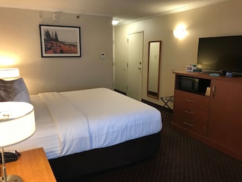 Standard Room, 1 King Bed, Non Smoking, Refrigerator