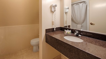 Business Room, 1 King Bed, Non Smoking, Refrigerator & Microwave